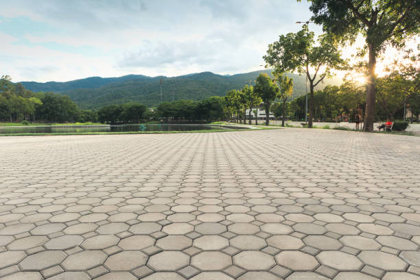 Best Concrete Paver Driveway  in Chamblee, GA